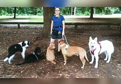 Dog hiking