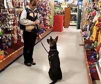 Dog treat