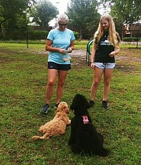 Puppy training